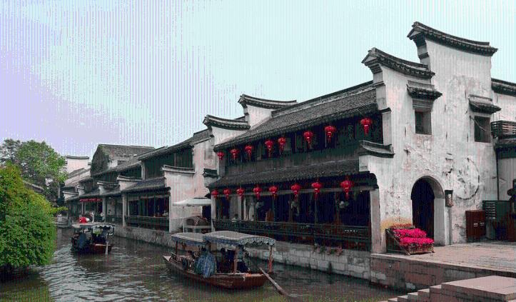 救援达尔马提亚狗